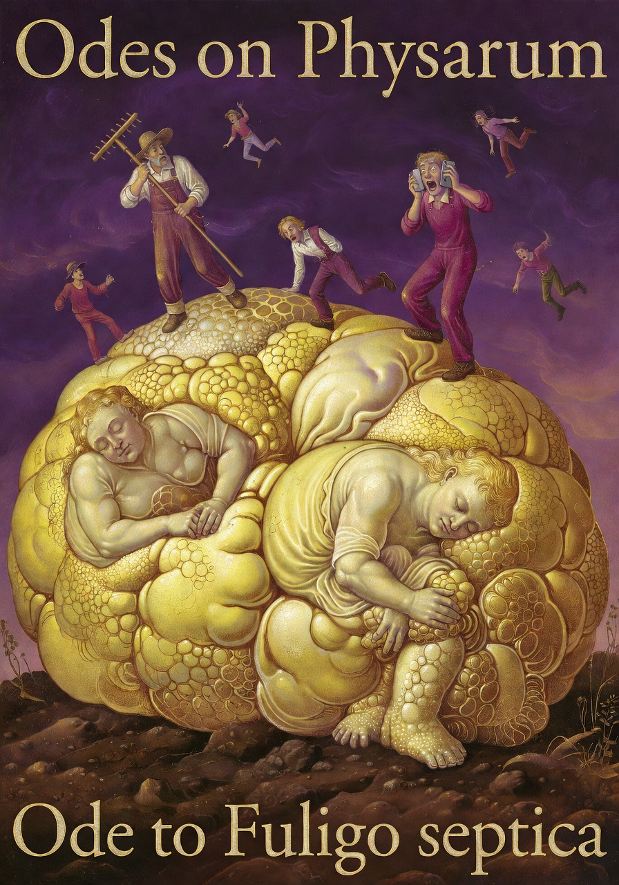 Variant 3