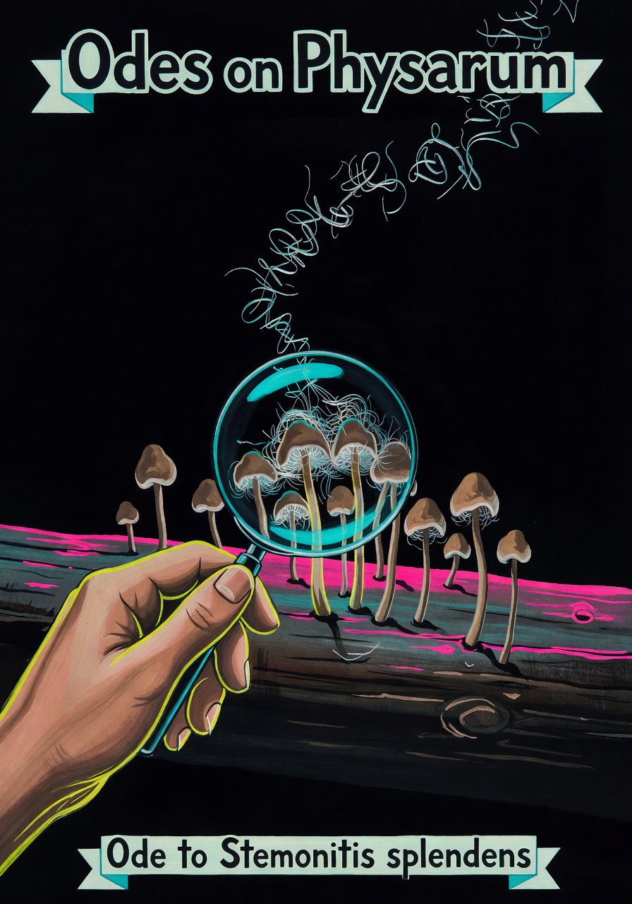 Variant 2