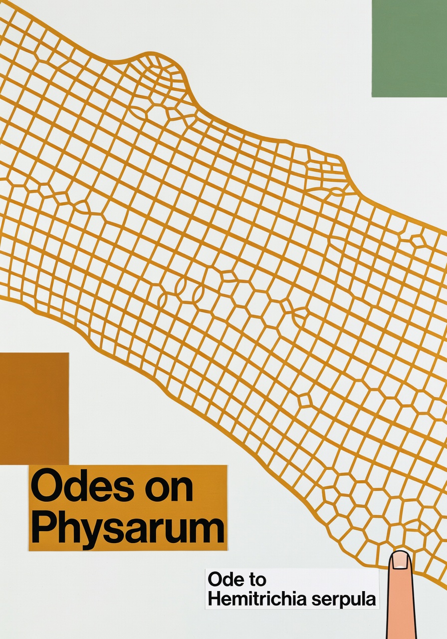 Variant 1
